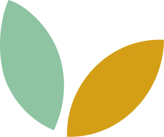 About Shape